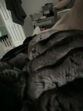 Snapshot of Furdale chatting on 03/09/26, 03:16 Furdale online show from 03/09/26, 03:16