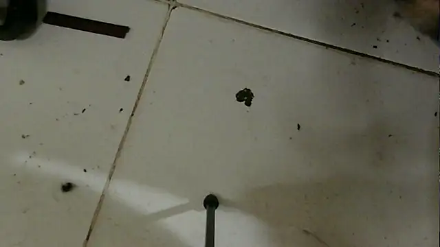 chino roz online show from 02/19/25, 03:38