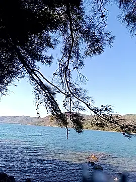 Snapshot of Poyraz6996 chatting on 10/17/25, 11:46 Poyraz6996 online show from 10/17/25, 11:46