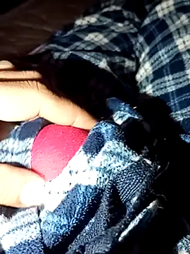 Snapshot of rodovlaz chatting on 02/04/26, 11:42 rodovlaz online show from 02/04/26, 11:42