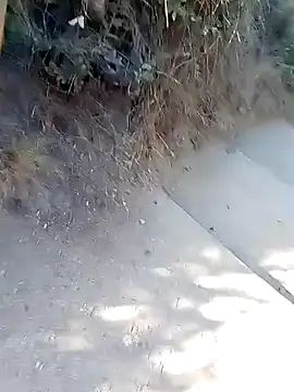 Snapshot of rodovlaz chatting on 03/02/26, 01:07 rodovlaz online show from 03/02/26, 01:07