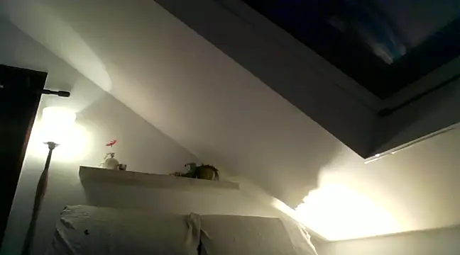 Cambitchboy online show from 12/11/24, 06:14