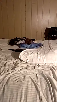 Jasmine FullsShine online show from 03/08/25, 11:18