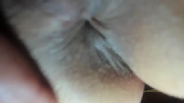 Snapshot of FrumCake chatting on 12/21/24, 03:47 FrumCake online show from 12/21/24, 03:47