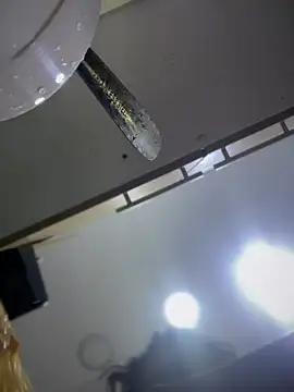 Tayra Siny online show from 02/14/25, 12:47