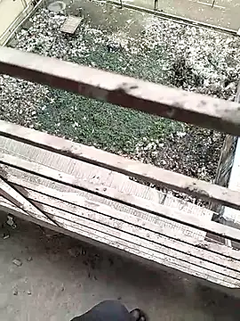 Snapshot of chittagong77 chatting on 02/22/26, 09:52 chittagong77 online show from 02/22/26, 09:52