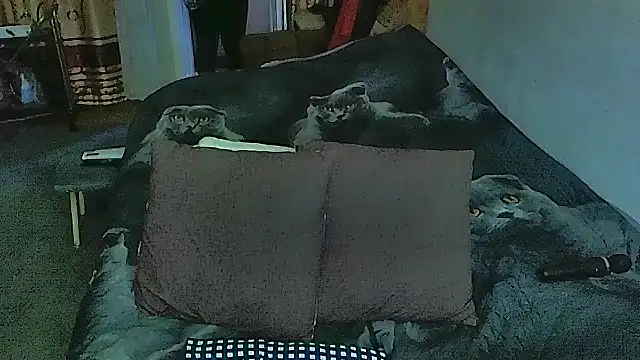 sex2 online show from 09/20/25, 10:55