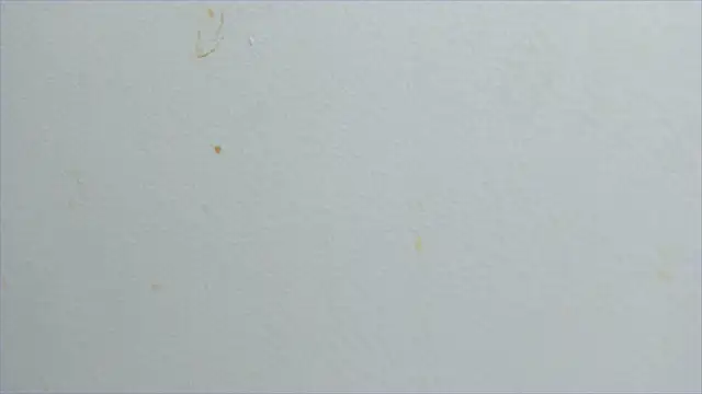 Snapshot of lisa2018 chatting on 02/21/25, 11:10 lisa2018 online show from 02/21/25, 11:10