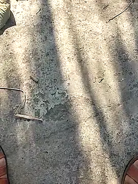 Pitercom online show from 11/12/25, 09:10