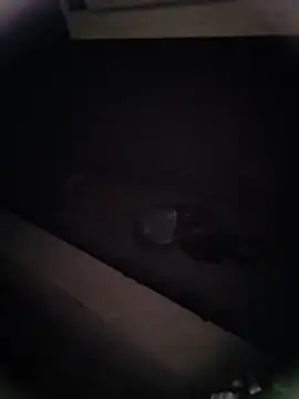 Pitercom online show from 01/09/26, 12:46