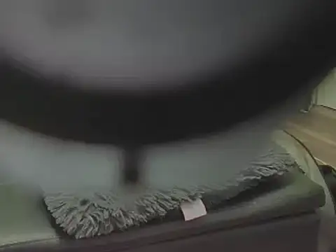 Snapshot of AwesomePapaya chatting on 11/27/25, 12:35 AwesomePapaya online show from 11/27/25, 12:35