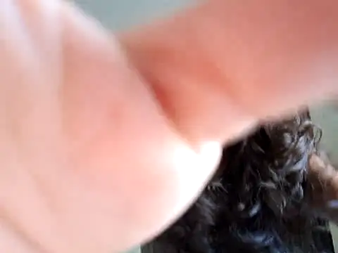 Abysparadise online show from 11/11/25, 05:46