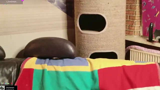 GamerGirl Eve online show from 02/01/26, 06:28