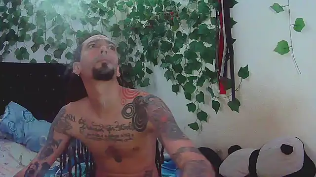 caribbeanlover1 online show from 02/07/25, 12:28