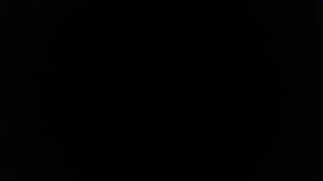 palidin1 online show from 12/05/25, 07:43