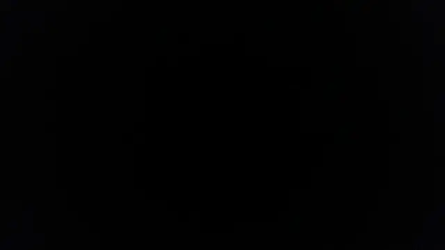 palidin1 online show from 02/09/26, 03:49