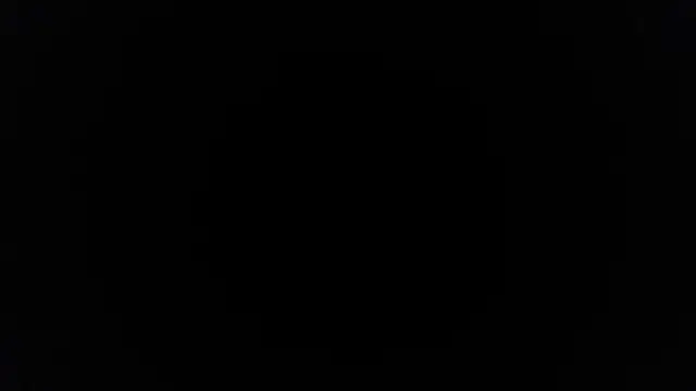 palidin1 online show from 04/20/26, 05:54