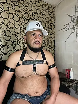 the master foal  online show from 03/11/26, 07:20