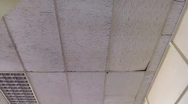 Snapshot of Mydreamgirrl chatting on 03/06/25, 01:46 Mydreamgirrl online show from 03/06/25, 01:46