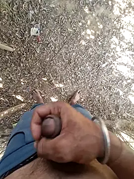 Snapshot of breejs chatting on 11/23/25, 08:25 breejs online show from 11/23/25, 08:25