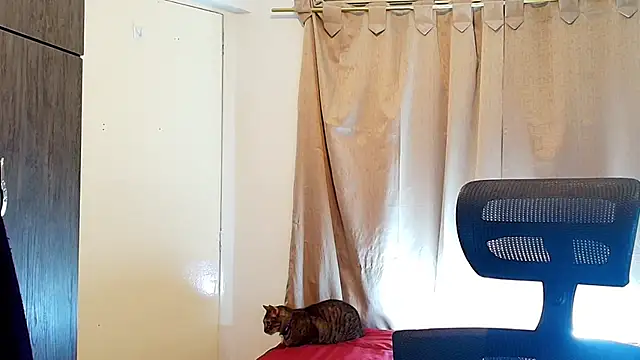 Snapshot of jimmy_class chatting on 12/05/25, 03:09 jimmy class online show from 12/05/25, 03:09