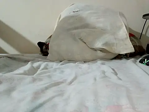 Snapshot of JamesQuaresma chatting on 02/11/26, 03:39 JamesQuaresma online show from 02/11/26, 03:39