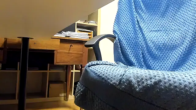 leccaleccafiga online show from 11/17/25, 09:31