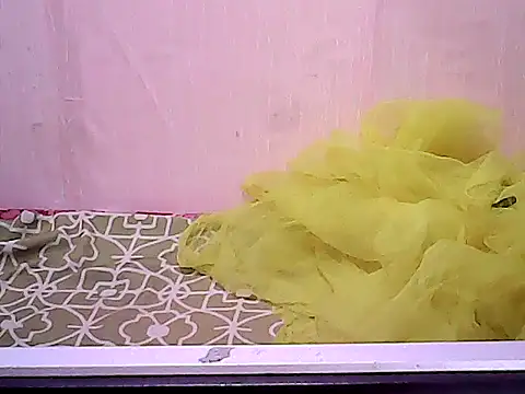 Snapshot of bridgette4u chatting on 12/17/25, 12:27 bridgette4u online show from 12/17/25, 12:27