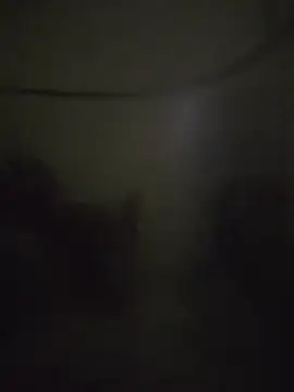 landy20cm online show from 10/16/25, 10:49