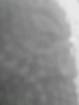 Snapshot of Sexilvenia chatting on 05/15/26, 10:28 Sexilvenia online show from 05/15/26, 10:28