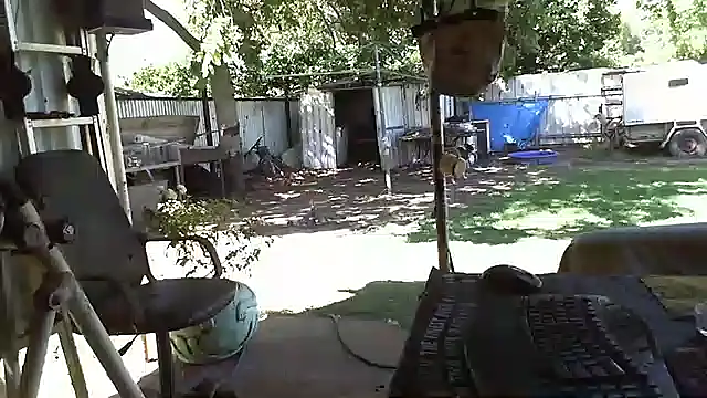 herbie010666 online show from 01/17/25, 05:11