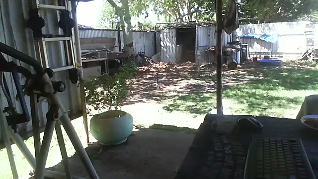 herbie010666 online show from 12/02/25, 03:56