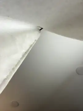 Snapshot of GeorginaJones chatting on 01/18/25, 02:25 GeorginaJones online show from 01/18/25, 02:25