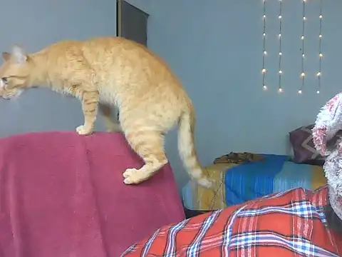 Snapshot of Olivia_Bright chatting on 03/18/26, 10:13 Olivia Bright online show from 03/18/26, 10:13