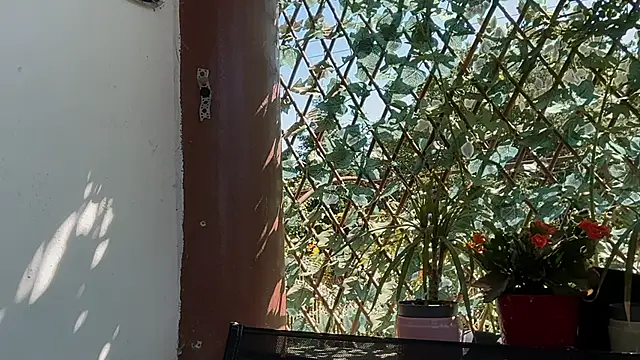 karo123421 online show from 06/17/26, 07:44