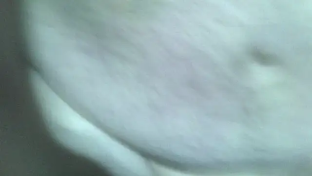 Snapshot of fishhead2100 chatting on 12/16/25, 07:24 fishhead2100 online show from 12/16/25, 07:24