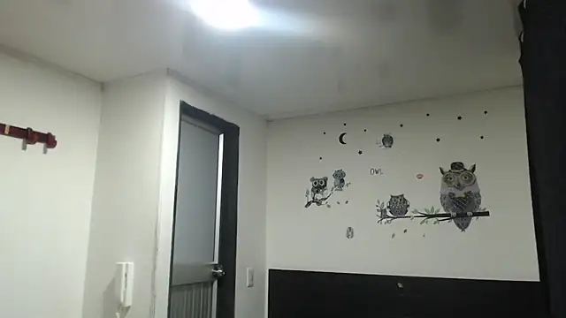 stifen  online show from 01/31/25, 03:41