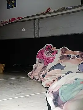 Snapshot of Van3orgasm4me chatting on 02/13/26, 07:04 Van3orgasm4me online show from 02/13/26, 07:04