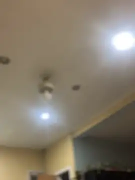 Snapshot of dingoding chatting on 02/07/25, 10:40 dingoding online show from 02/07/25, 10:40