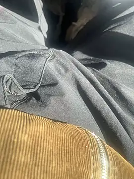 Snapshot of dingoding chatting on 02/10/25, 03:10 dingoding online show from 02/10/25, 03:10