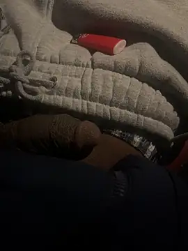 Snapshot of dingoding chatting on 02/22/25, 01:44 dingoding online show from 02/22/25, 01:44