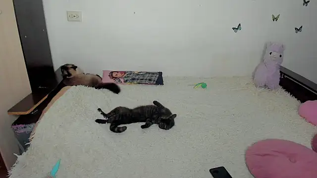 NataliEvans online show from 06/18/26, 10:14
