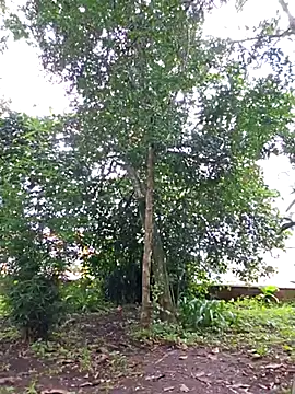 Yuky ta online show from 02/23/25, 05:50