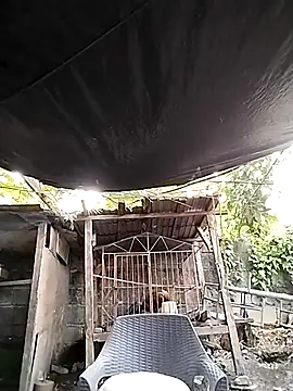 MS Isabella Snow92 online show from 02/22/25, 10:42