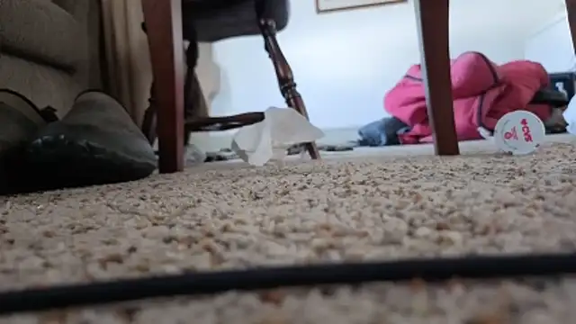 Snapshot of CDforU chatting on 02/05/26, 06:01 CDforU online show from 02/05/26, 06:01