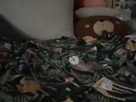 Snapshot of Perwers_41 chatting on 11/02/25, 02:19 Perwers 41 online show from 11/02/25, 02:19