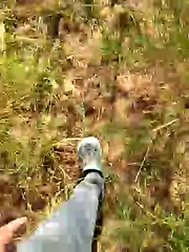 Gopal1243 online show from 01/07/26, 07:55