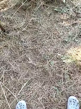 Gopal1243 online show from 01/09/26, 07:55