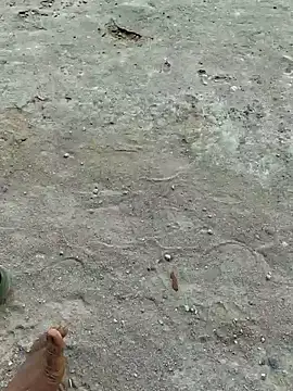 Gopal1243 online show from 04/20/26, 07:55