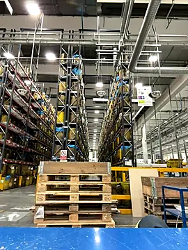 danicohoney online show from 10/10/25, 09:36